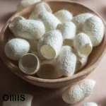 پیله ابریشم یا پیله ابریشم که داخل یک کاسه قرار دارد